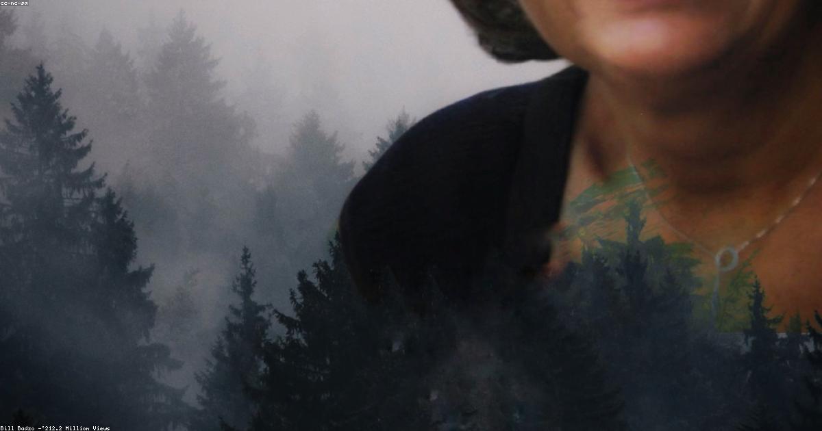 Основные возможности Goold Discuss Dev